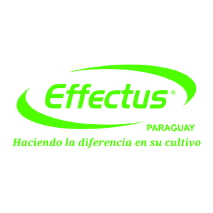 effectus